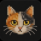 House Cat in calico