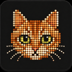 House Cat in marmalade ginger