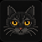House Cat in midnight black