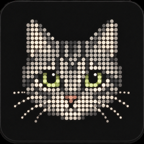 House Cat in silver grey